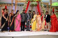 Gopichand Malineni Wedding Reception Gallery